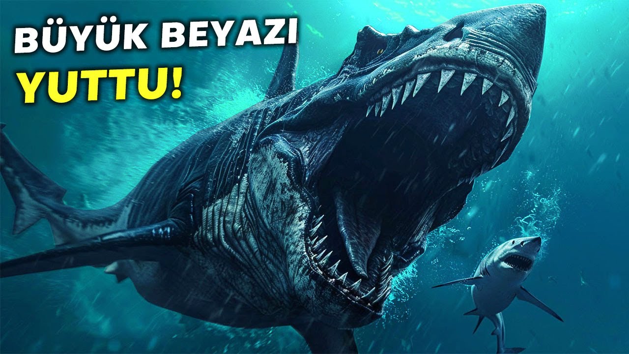 Bilim İnsanları Büyük Beyaz’ı Yutan Şeyi Açıklayamıyor