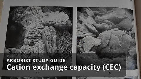 Cation exchange capacity (CEC) | Soil Science