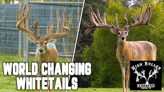 High Rollers of the Deer Industry!! | High Roller Whitetails