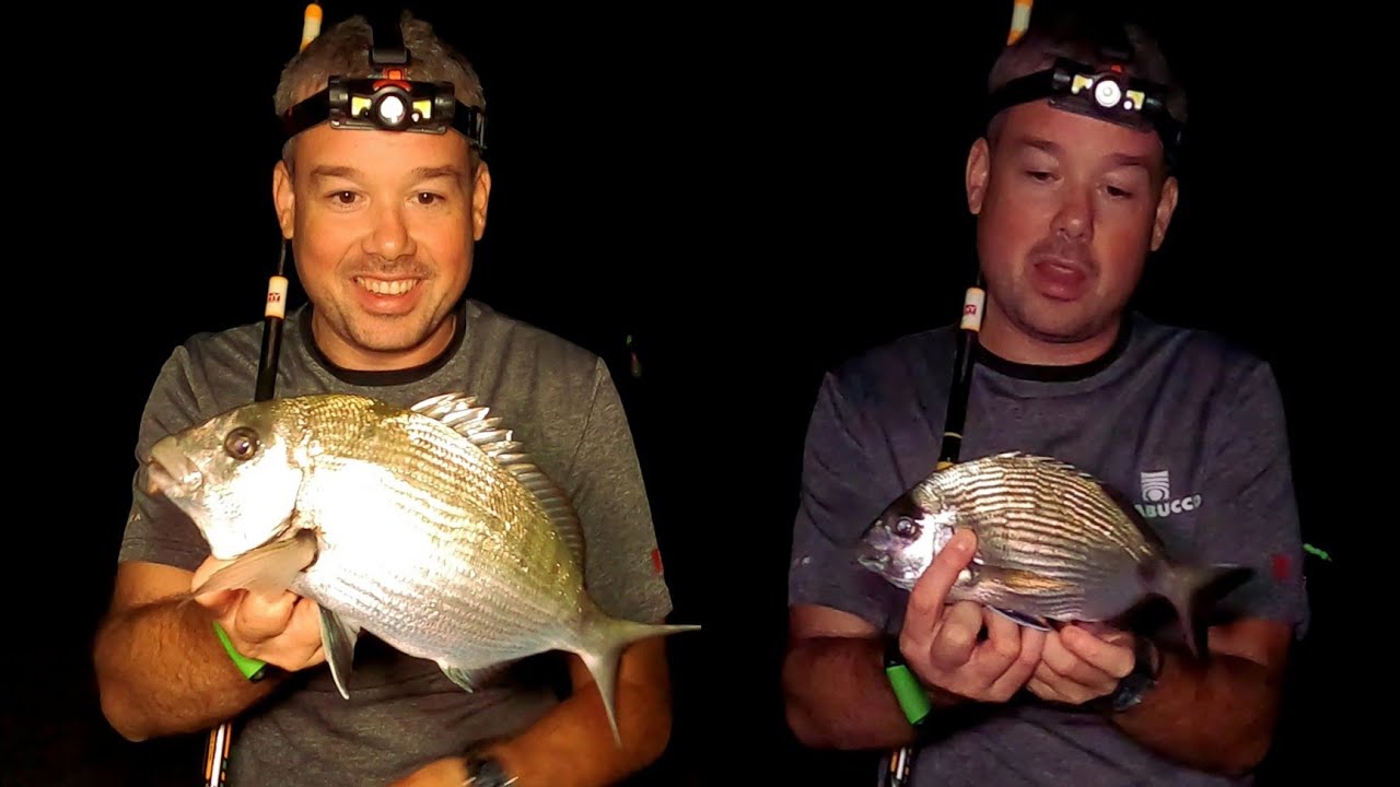 ΨΑΡΕΜΑ ΣΑΡΓΟΥ ΜΕ ΚΟΝΤΡΑ ΚΑΙΡΟ!