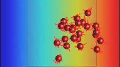 Fibroblasts Moving up an Adhesion Gradient, 3D Monte Carlo/Stochastic Simulation in Matlab