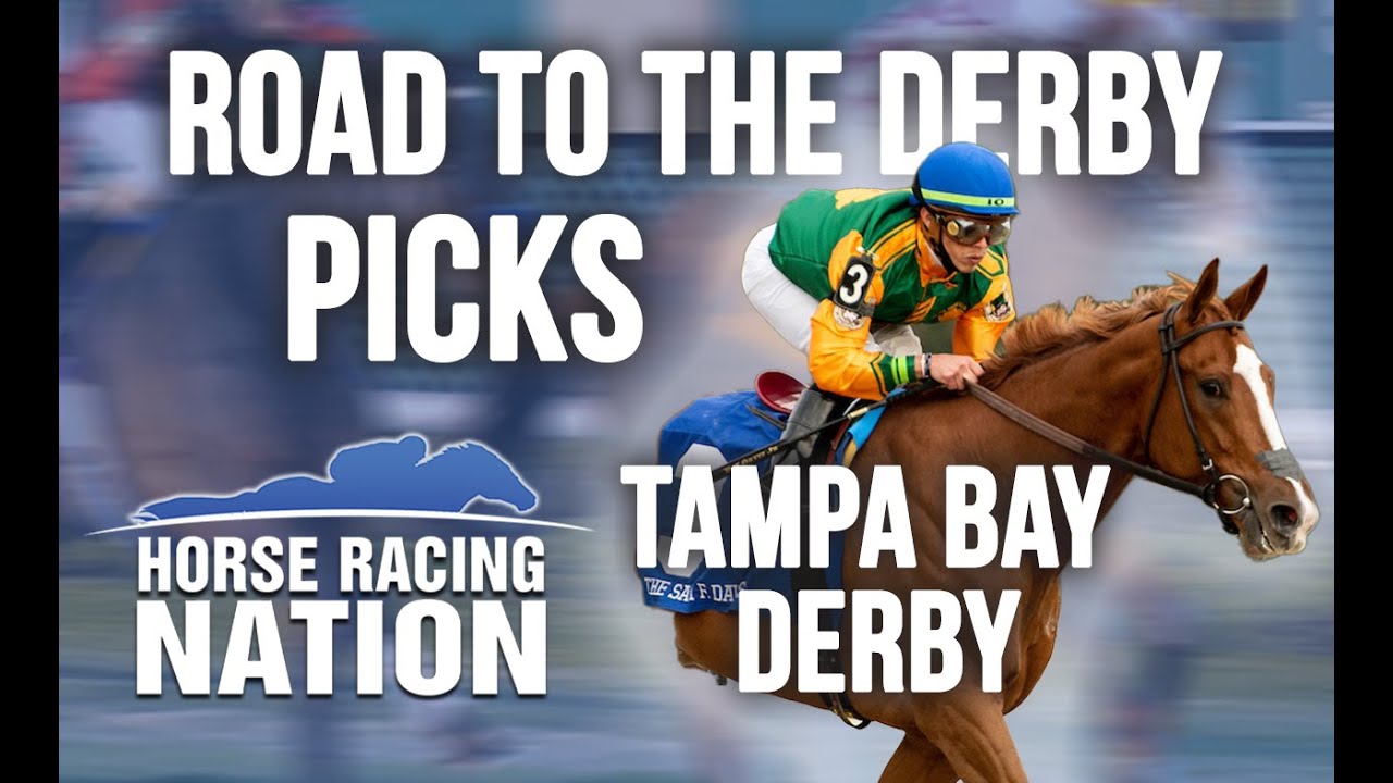 Road to the Derby Picks Tampa Bay Derby YouTube