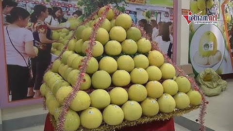 Bưởi Phúc Trạch “ chuyển đổi số” giúp người dân Hương Trạch thoát nghèo