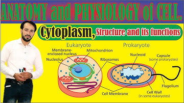 Cytoplasm | Protoplasm, Composition, Functions | In detail | Made Easy | Top lesson4u