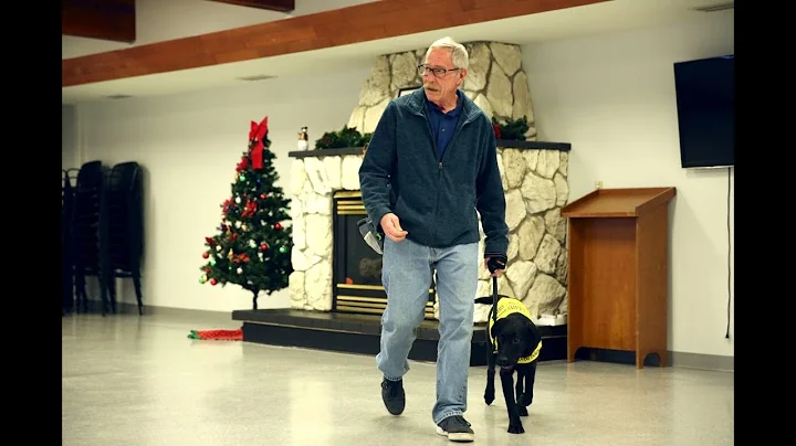 Regina CNIB Looking For 'puppy Raisers' For Next Batch Of Guide Dogs-in-training
