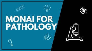 Pathology Image Labeling Comes to MONAI