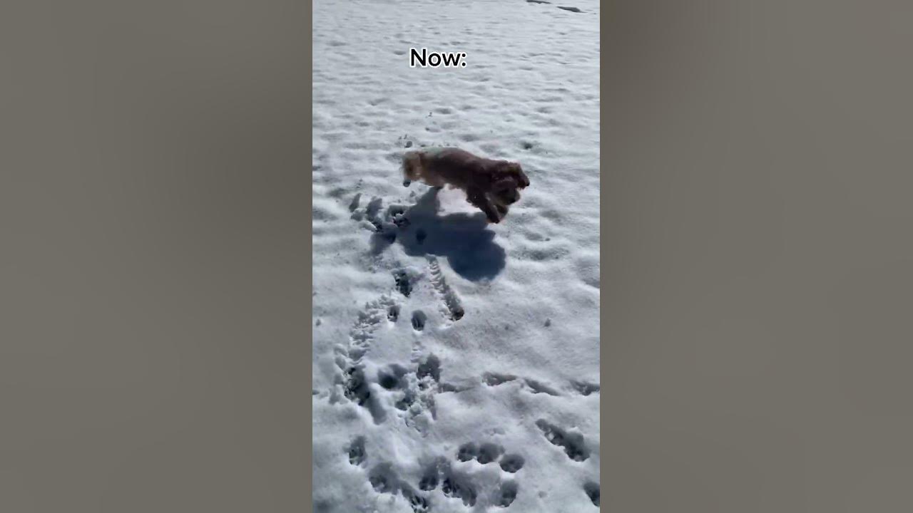ozzy then and now