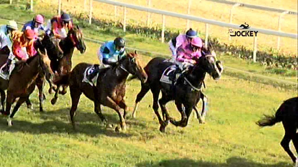 4 Carrera, premio Emasesa Metropolitana, 20 de diciembre 2015 - Gran Hipódromo de Andalucía video phone beyonce mp3