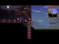 Coin Luck is a feature where you can throw money into the Shimmer to make you the luckiest terrarian