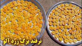 برگه زردآلو خانگی با یک ترفند ویژه | آموزش آشپزی ایرانی