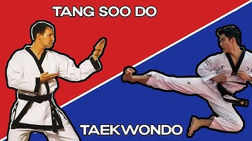Tang Soo Do vs. Taekwondo | What