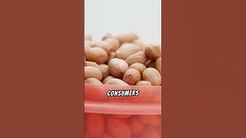 Top Brands for PEANUTS | Ingredient Analysis September 2024