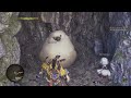 Monster Hunter Wilds - grand hub fluffy giant bird gives loot and sneezes