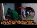 Live misteri siasat untuk melumpuhkan kolor hijau