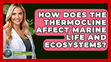 How Does The Thermocline Affect Marine Life And Ecosystems? - Earth Science Answers