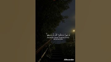 سورة الجاثية القارئ ياسر الدوسري