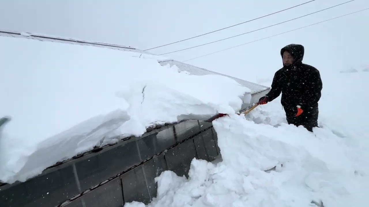 2026.2月　やべぇこれ！