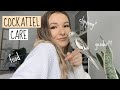 Cockatiel Care + Tips! ( OLD VIDEO)