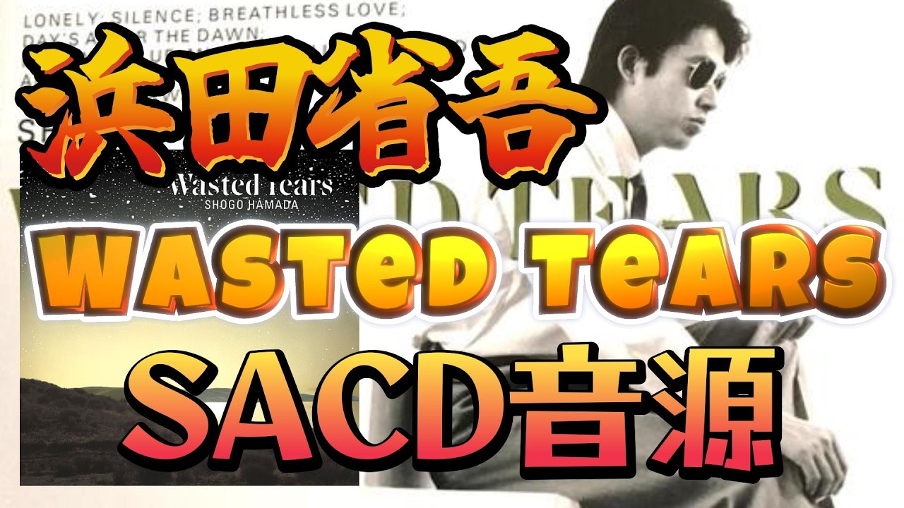 浜田省吾】WASTED TEARS 【SACD音源】【DSD64/5645kbps】【foobar2000