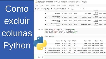 Como excluir uma coluna usando drop() pandas (Python para Machine Learning - Aula 17)