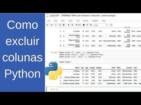 Como excluir uma coluna usando drop() pandas (Python para Machine Learning - Aula 17)