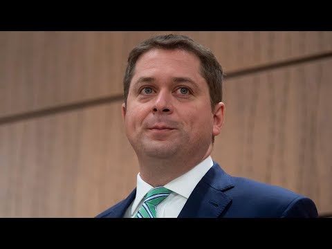 Andrew Scheer calls Ottawa's handling of wage subsidies "very chaotic"