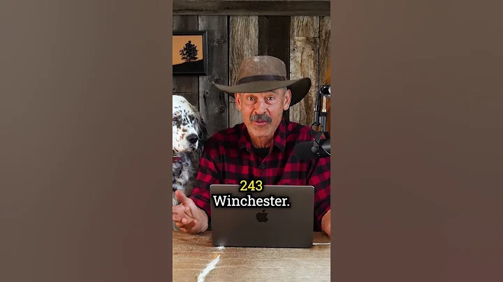 Versatility in the 243 Winchester