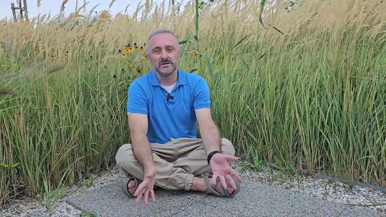 Virak i hajdučica, baza dobrog ženskog zdravlja
