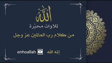 تلاوة سورة الإخلاص للقارئ الشيخ أحمد النفيس