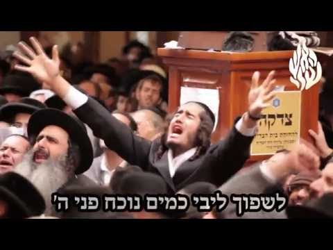 הקליפ הרשמי 'לשפוך ליבי כמים' - הרב יוסף הכט ו"לחיים טיש"
