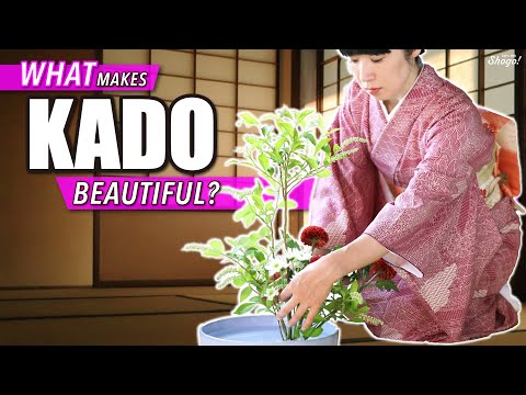 Video: Ar ikebanos gėlių kompozicija?