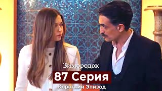 Зимородок 87 Cерия (Короткий Эпизод) (Русский Дубляж)