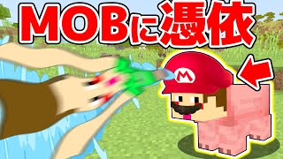 マリオの帽子でMOBに憑依できる能力がヤバいwww【データパック】【マイクラ・マインクラフト実況】