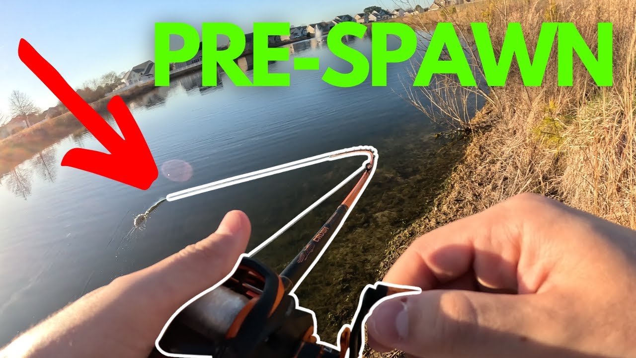 Spring Bass Fishing Ponds (My favorite Spring Bass Fishing lure) YouTube