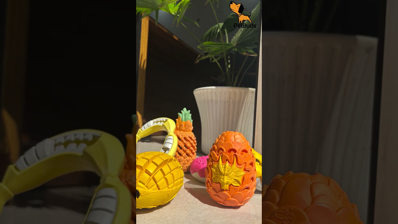 PetBuds Durable Dog Toys – Fun, Interactive & Perfect for Playtime! 🐾🎾