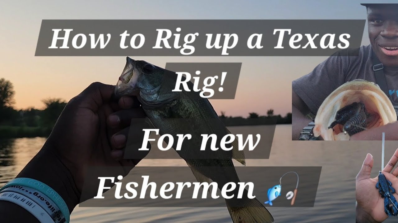 How to Rig up A Texas Rig! (Beginners to Bass Fishing 🎣 This one is for you – A must WATCH)
