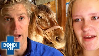Horse's Eye Doubled In Size With Tumor & Diagnosis Breaks Teen Owner 💔 Bondi Vet Clips | Bondi Vet