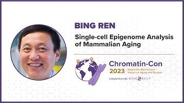 Chromatin-Con 2023 - Session 2 Epigenetics of Cell Heterogeneity and Loss of Identity - Dr. Bing Ren