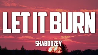 Shaboozey - Let It Burn (Lyrics)