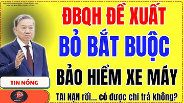 Nóng ĐBQH Đề Xuất Bỏ Bảo Hiểm Xe Máy Bắt Buộc! TAI NẠN rồi… có được chi trả không
