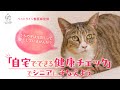 いぬとねこ シニアのそなえプロジェクト「猫の健康チェック」