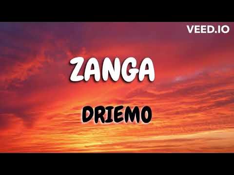 Driemo -  Nzanga (mzaliwa album) Lyrics