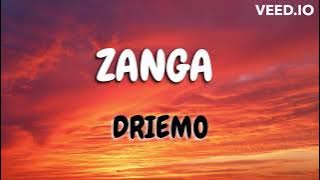 Driemo -  Nzanga (mzaliwa album) Lyrics