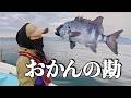 ［女漁師］おかん石鯛宣言！結果はいかに？