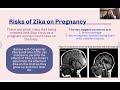 Zika virus infographic presentation