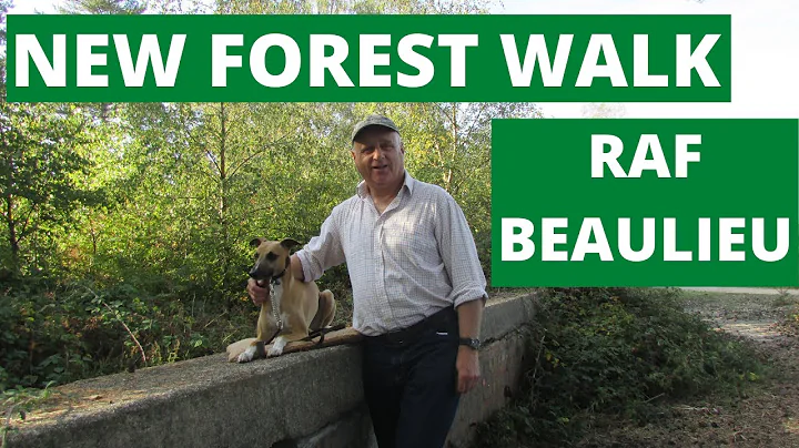NEW FOREST WALK : RAF BEAULIEU (NEW FOREST NATIONAL PARK)