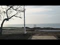 Керчь Приморский парк, туман сегодня 30 11 25