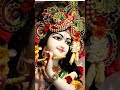 kai shree krishan