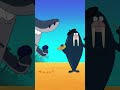 Zig pushes Sharko to the limit | Zig & Sharko's Club | Cartoon Collection | New Episodes in HD