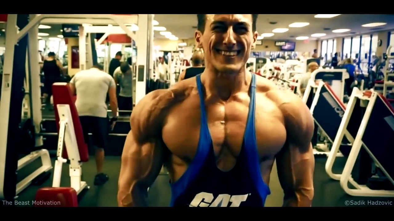 SADIK HADZOVIC - Best Motivational Speech Video for Success
